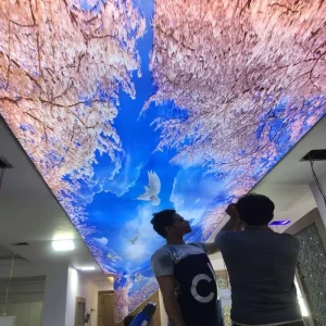 3D定制紫外线印花屋顶设计艺术墙壁天花板瓷砖卧室家居装饰聚氯乙烯拉伸天花板薄膜