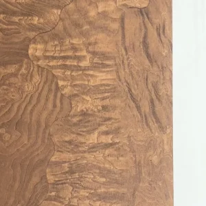 Caramel Burled Wood Grain PVC Wall Panels ENF Moistureproof Waterproof Board for Modern & Luxury High Impact Resistant Cladding