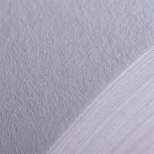 Design Blank Non Woven Wallcoverings Wallpaper for Inkjet Digital Printing