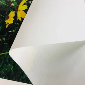 Eco-Friendly Classic Large Format Inkjet Printable Non-Woven Wallcloth Wallpaper for Large-Scale Posters and Art Displays