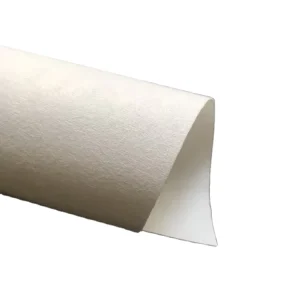 Luxury Velvet Wallpaper Silk Wall Fabric Wall Covering Roll for Eco Solvent Latex Print