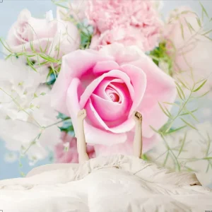 Modern Floral Rose Digital Printing Photo Wallpaper