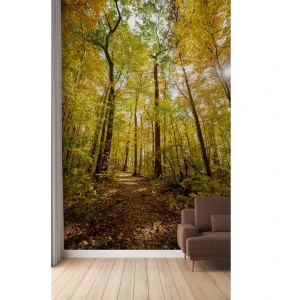 Panoramic 3D Forest Wallpaper Immersion Nature Scene Custom Mural for Living Room Bedroom Accent Wall Expansion Space