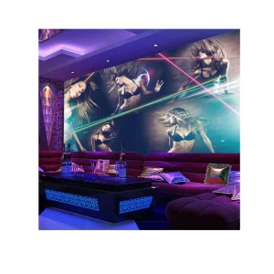 Sexy and Hot Bikini Girl Wallpaper 3d Fabric Decoration Mural