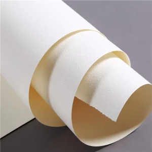 Shanghai Factory 3.2*60m 270gsm Fabric Wallpaper for Indoor Decoration