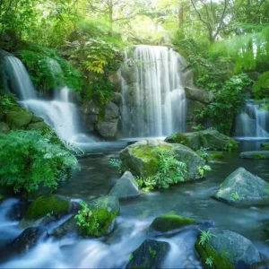 Waterfall Paradise Wallpaper Stunning Landscape Murals with Cascading Water Perfect for Wall Painting