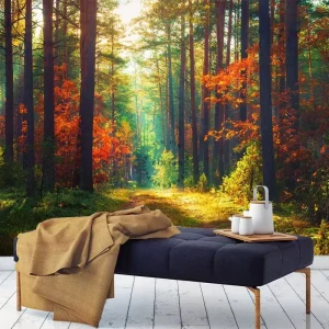 Waterproof Autumn Pine Forest Sunbeam Wall Mural Fall Nature Self Adhesive Wallpaper Removable Accent Wall Decor